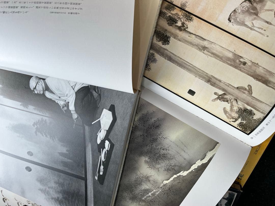 現代の水墨画　全10冊　　講談社