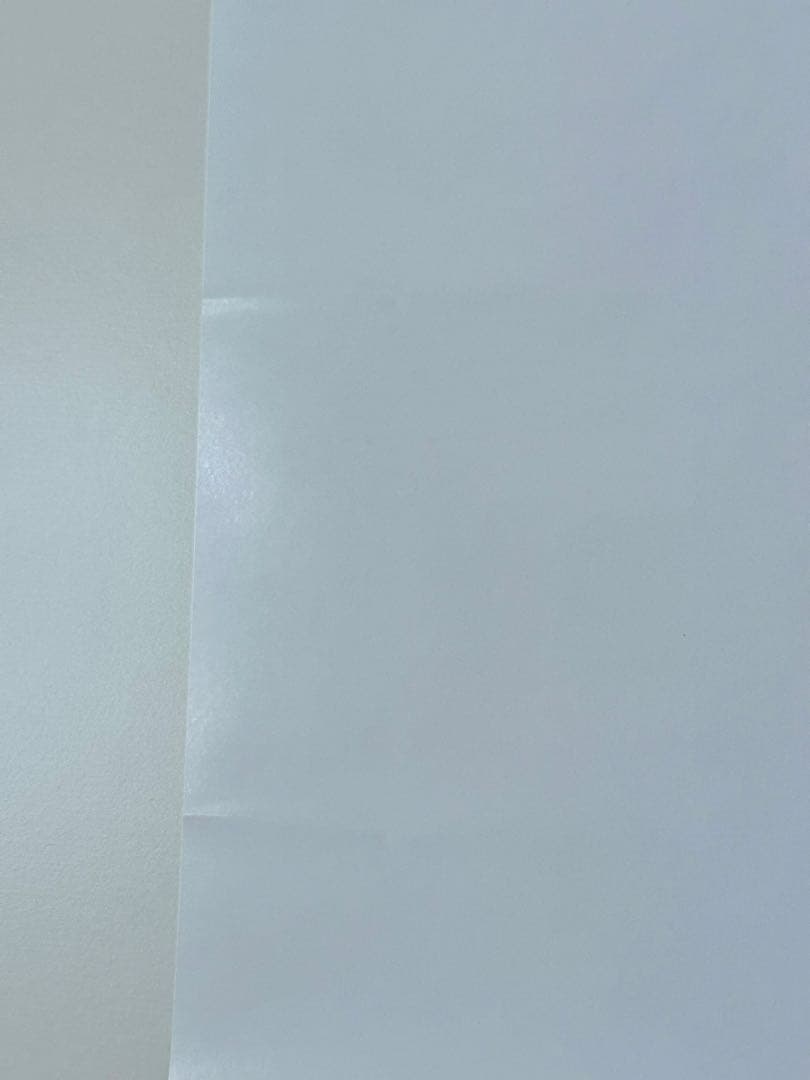 大阪・関西万博 EXPO2025 大屋根リングポスター B2サイズ