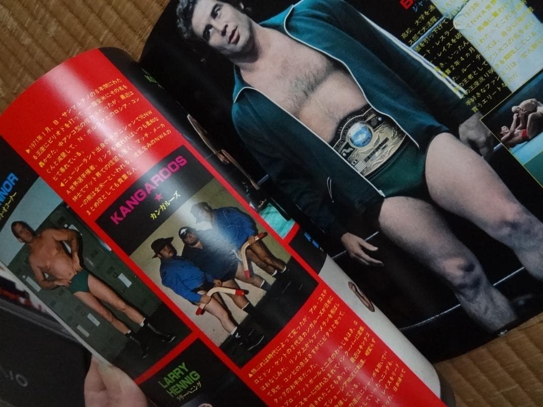 別冊プロレス増刊★秘蔵写真とセレクトされた記録でつづる 日本のプロレス30年史