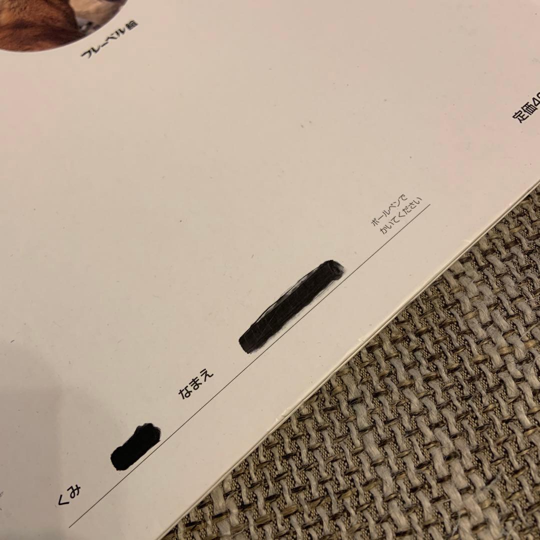 キンダーブック　しぜん37冊セット