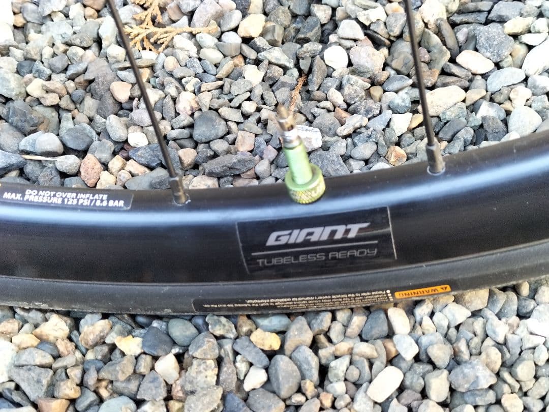 corratec ロード固定ギア fixed gear仕様 カーボンフォーク