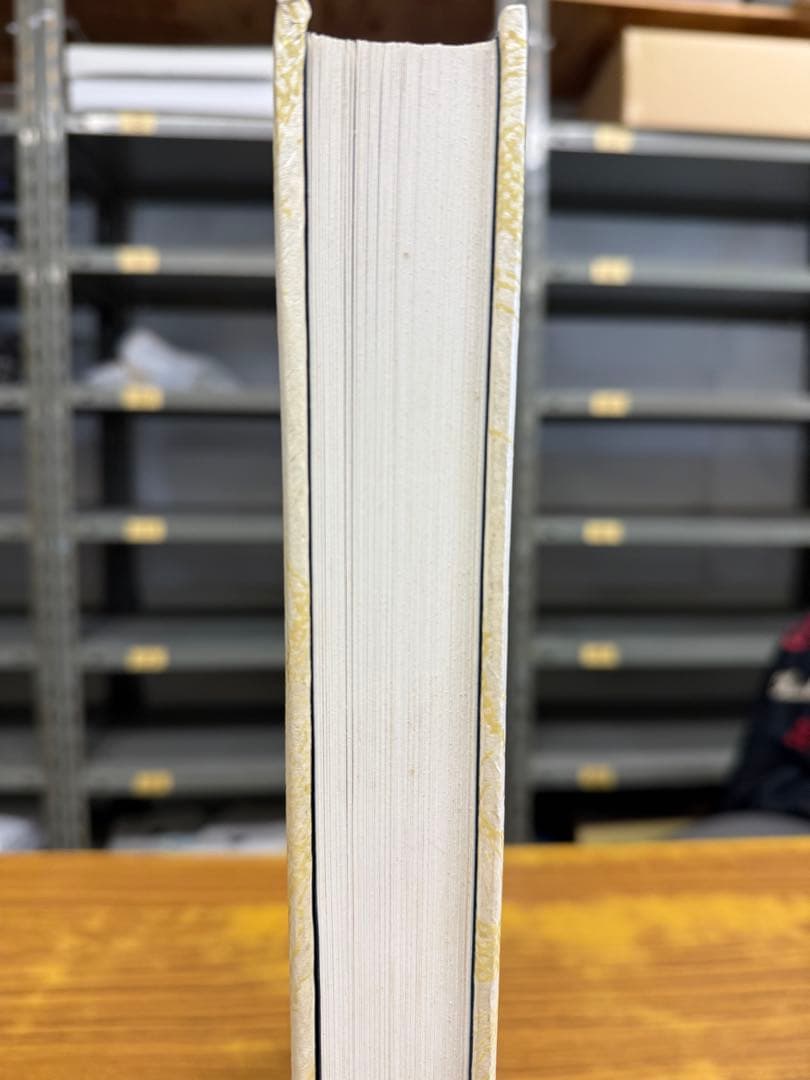 大友克洋 童夢 豪華版