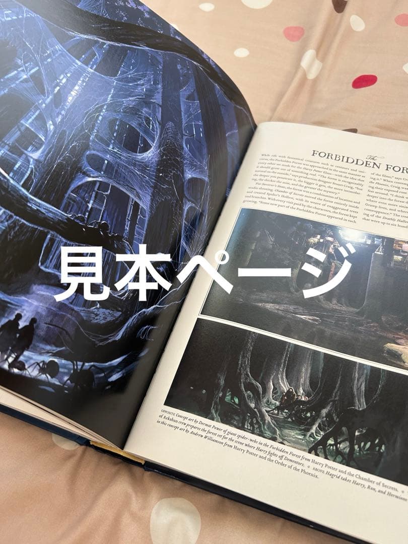 ハリーポッター映画大全　Harry Potter page to screen