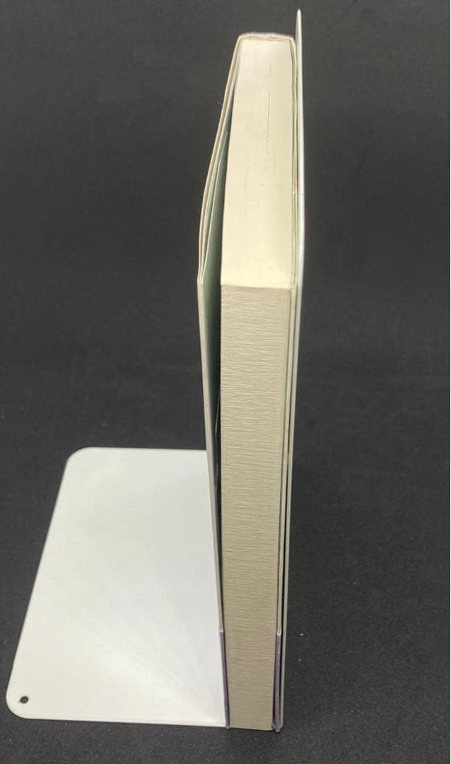 【初版2000部】エコロジー教育学　真人類への進化の途　 太田龍