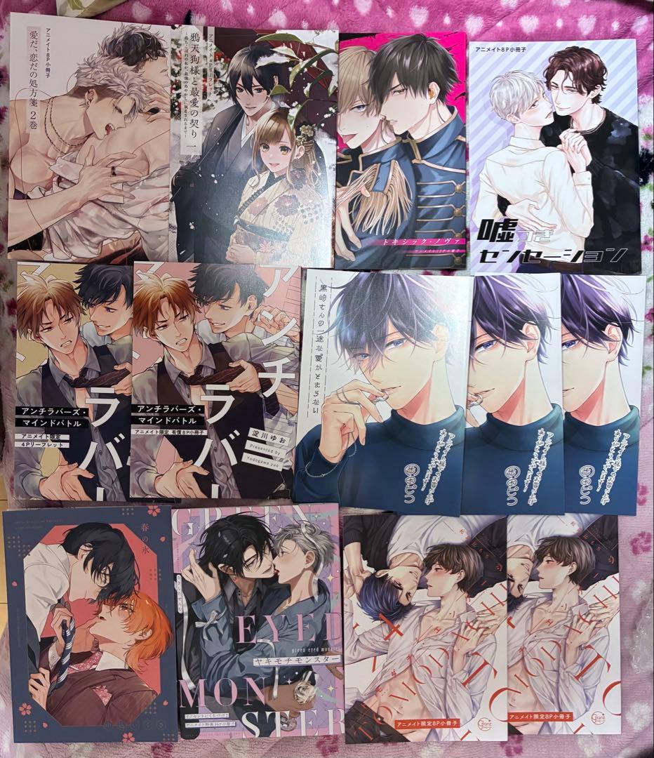 特典各種小冊子＆リーフレットセット