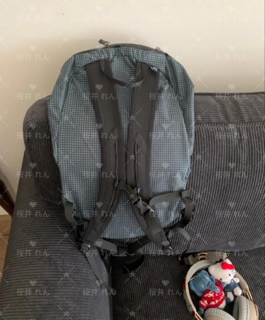 タグ付きARC'TERYX KONSEALS バックパック グレー・チェック柄