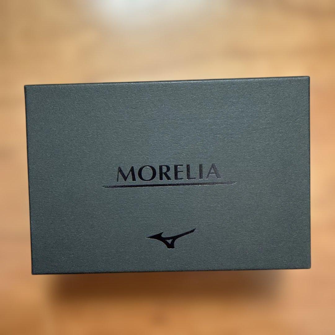 【希少】モレリア ケース