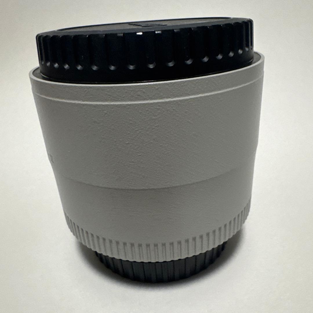 Canon (キヤノン) エクステンダー EF2X III