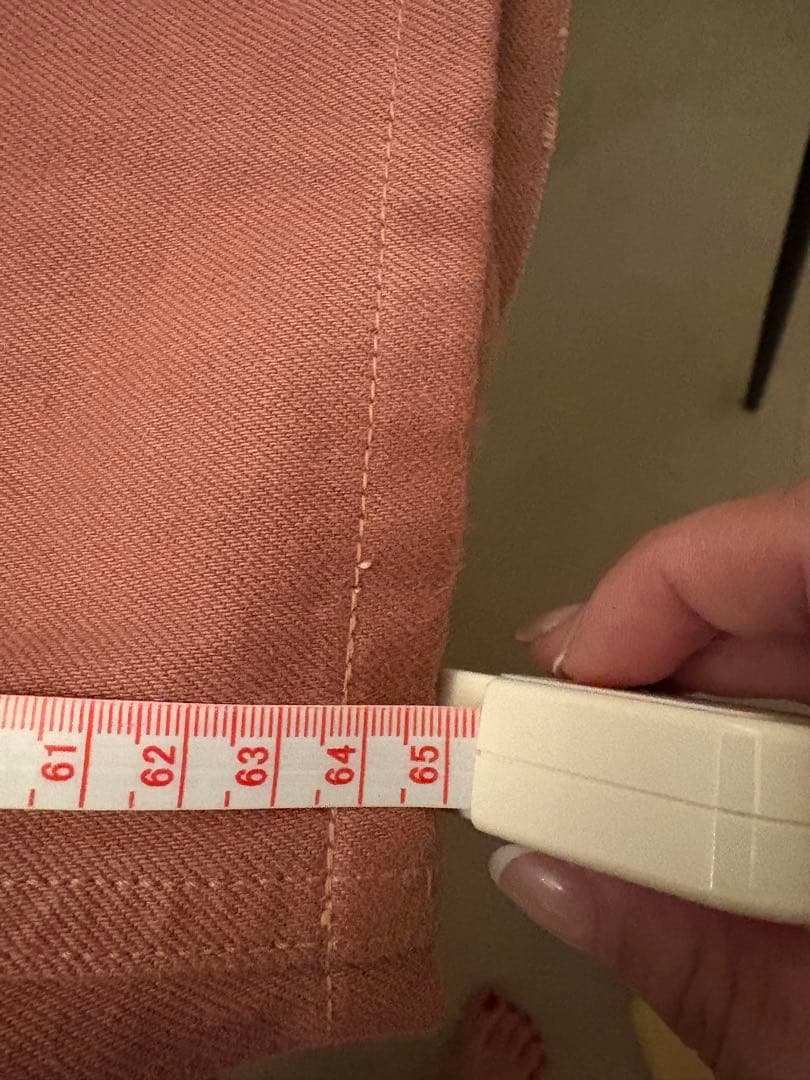 パンツ SHISHIKUI Painter pants / D.PINK