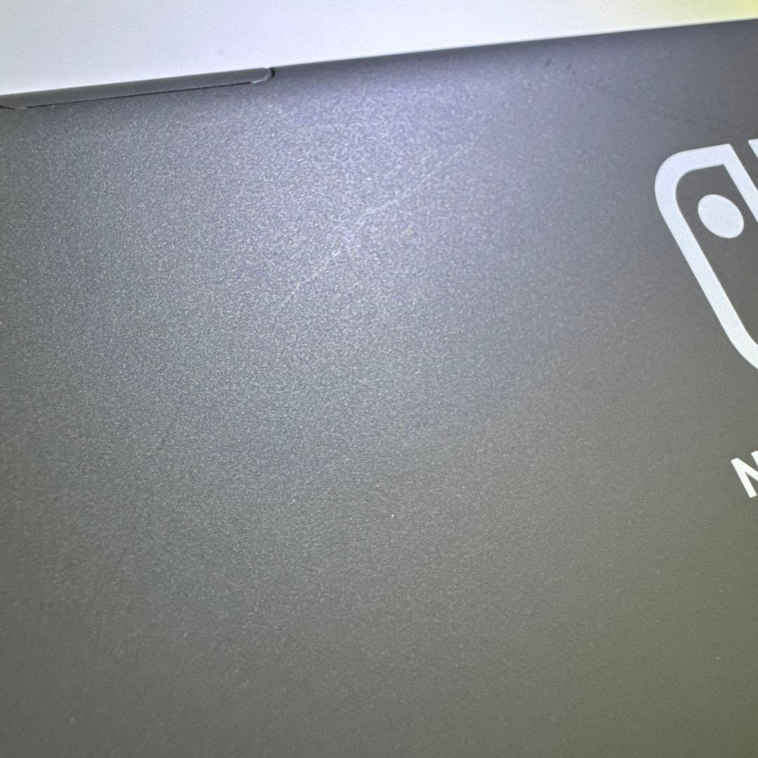 Nintendo Switch Lite グレー 本体＆保護ケース(ブラック)