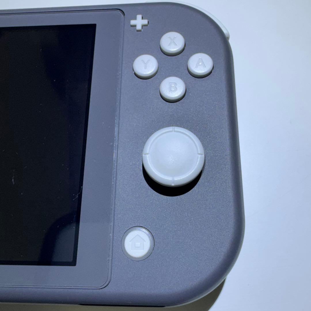 Nintendo Switch Lite グレー 本体＆保護ケース(ブラック)