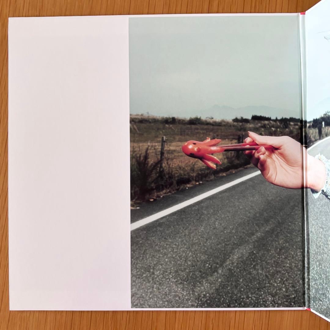 ［廃盤］ RADWIMPS 4 ～おかずのごはん～ 2枚組LP