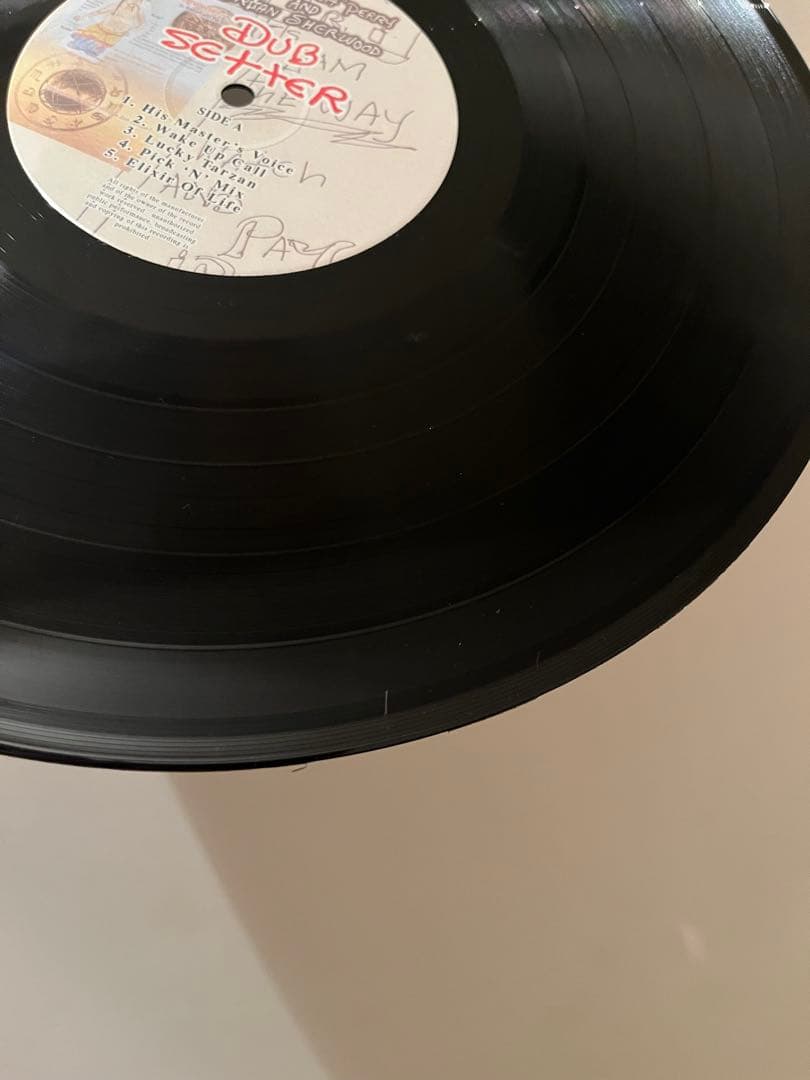 Lee Perry Dub Setter LPレコード　MURO