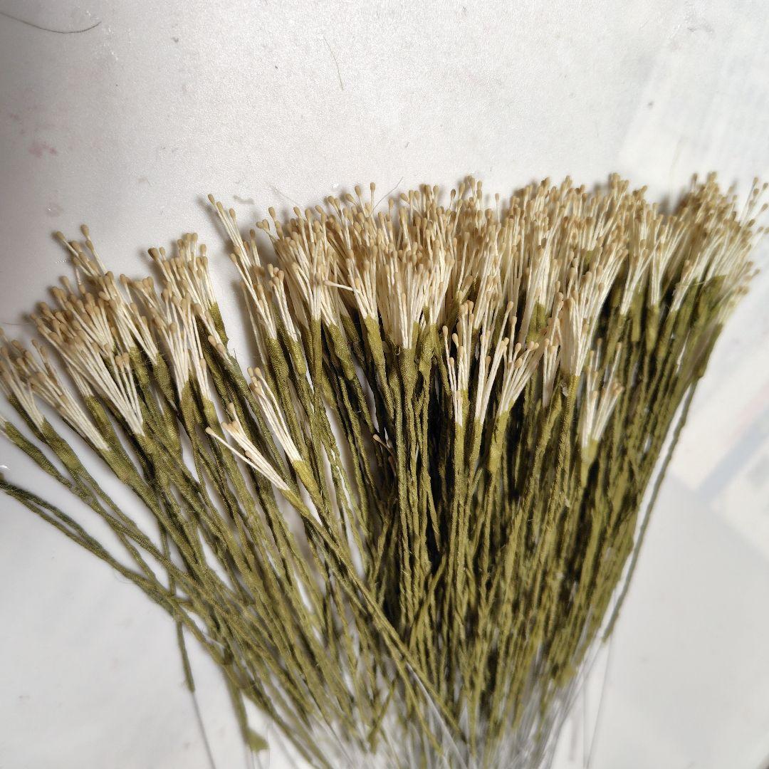 ゆうこりん様 オ−ダ−品3点.野草、ベッチンズボン(中古)