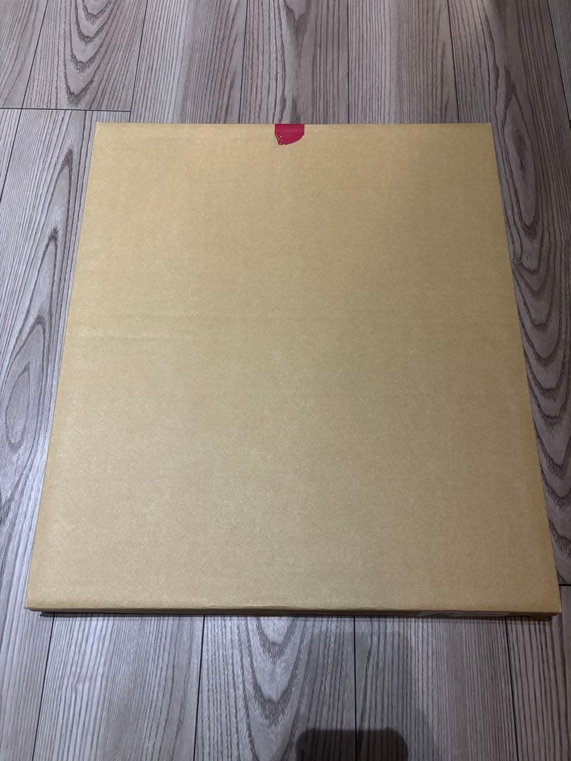 エヴァ Canvas Art(RADIO EVA)キャンバスアート アスカ 1