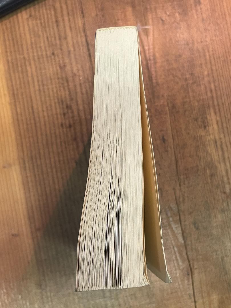 気内臓療法 Chi Nei Tsang　謝 明徳 (著