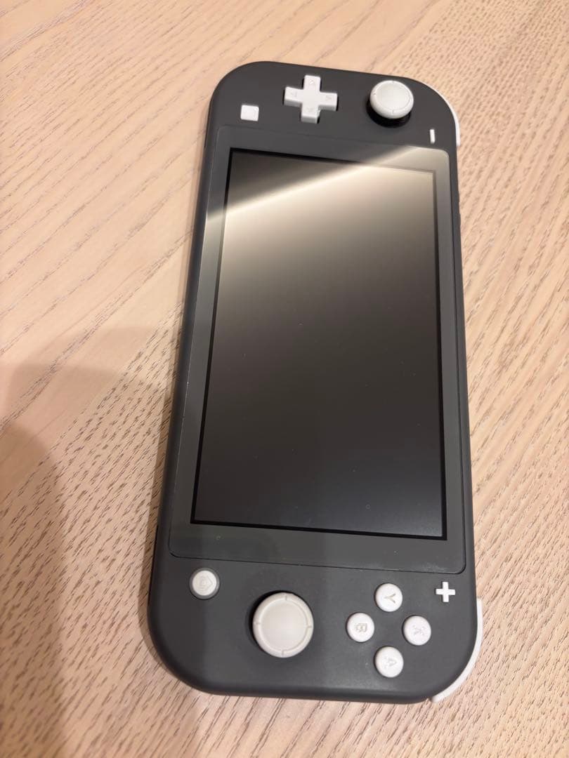 らいあん Nintendo Switch Lite グレー
