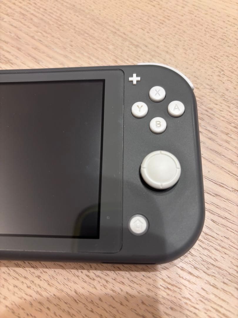 らいあん Nintendo Switch Lite グレー