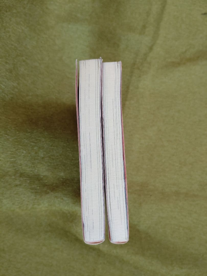 Devil may cry デビルメイクライ 1巻 2巻 セット 文庫