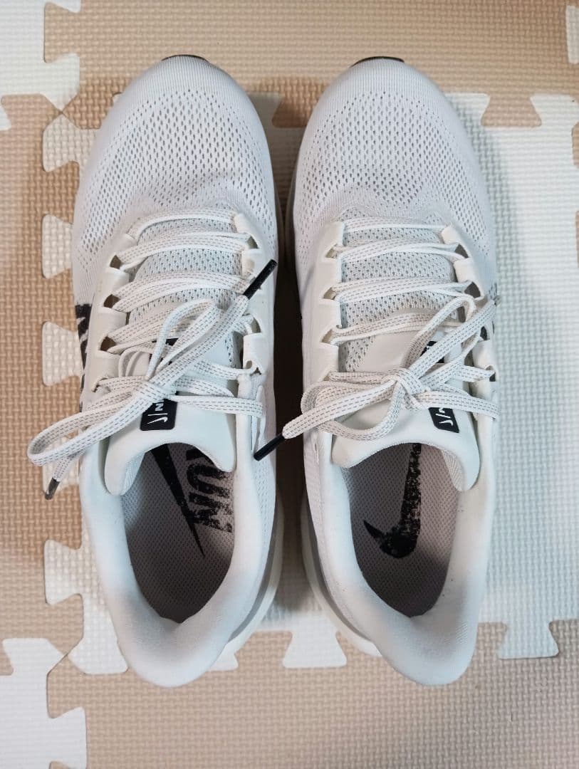 【26.5cm】ナイキ エアズーム ペガサス41　アルペン限定カラー　完売