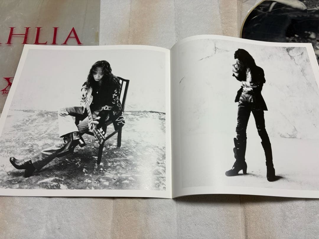 X JAPAN DAHLIA アナログ盤　ピクチャー仕様