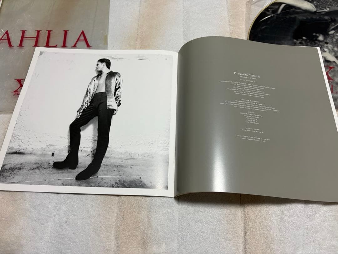 X JAPAN DAHLIA アナログ盤　ピクチャー仕様