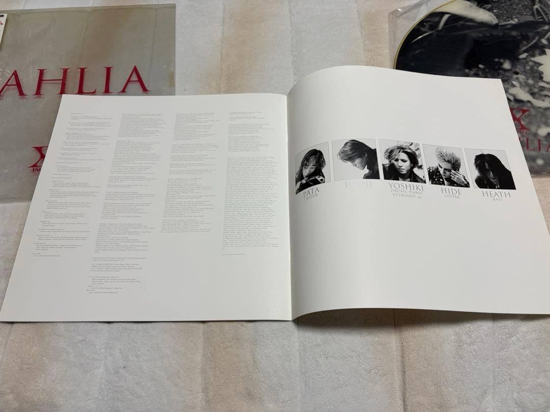 X JAPAN DAHLIA アナログ盤　ピクチャー仕様