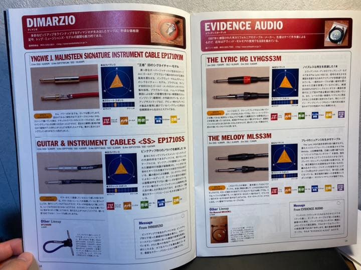 【希少】ギター・ケーブルの本