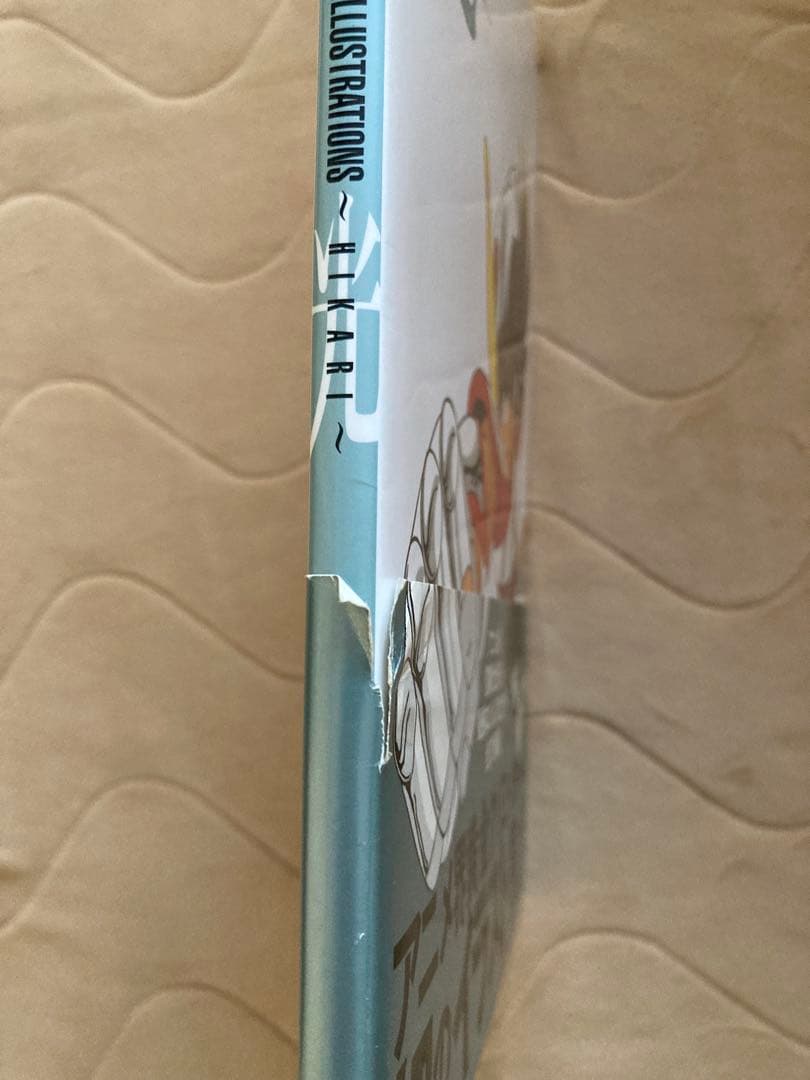 聖闘士星矢 荒木伸吾&姫野美智 illustrations 光 イラスト集 画集