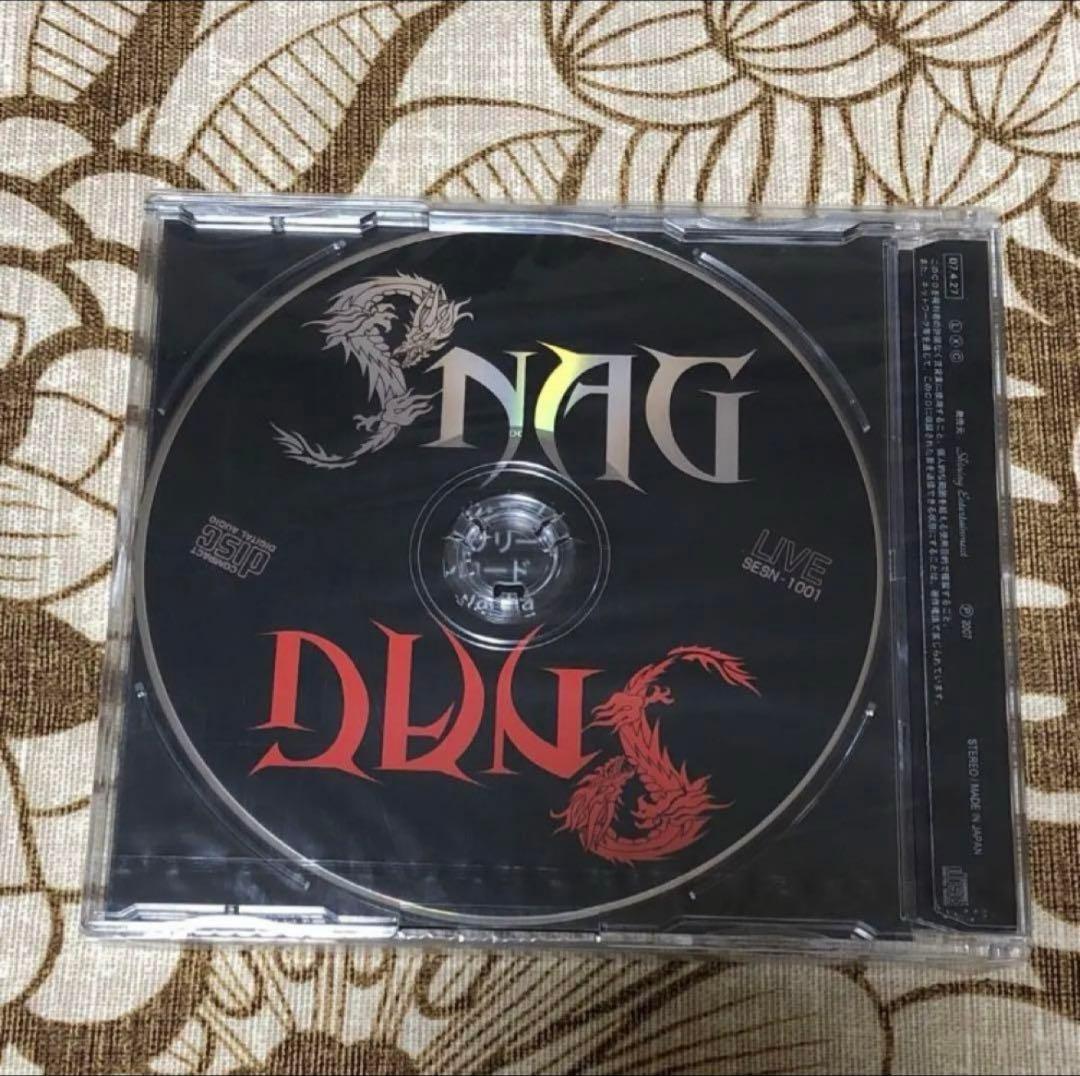 成田昭次 Snag Live