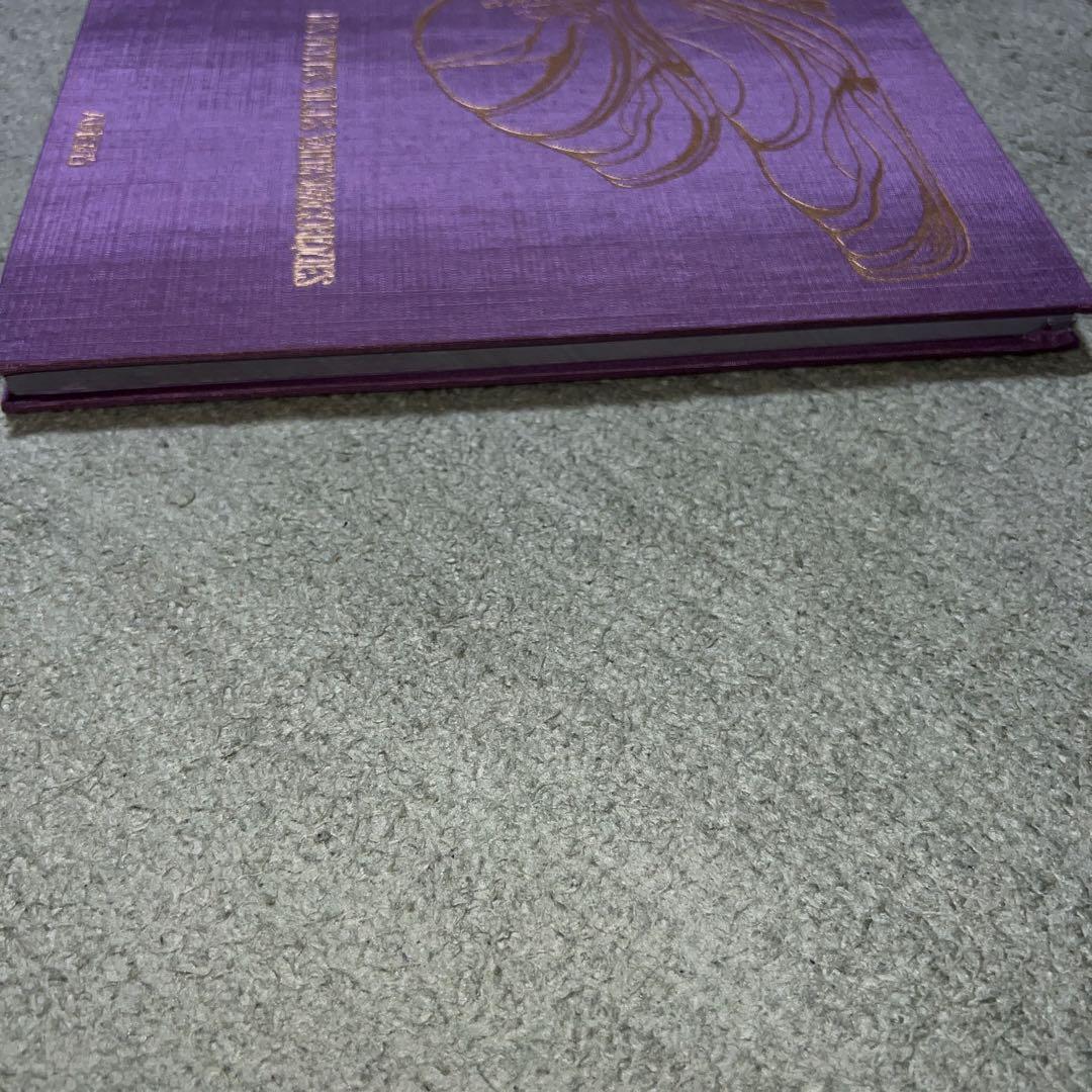 幻日の少女 ビスクドール写真集 片岡佐吉 恋月姫 人形屋佐吉