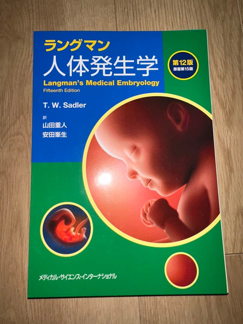 【裁断済み】ラングマン 人体発生学 第12版