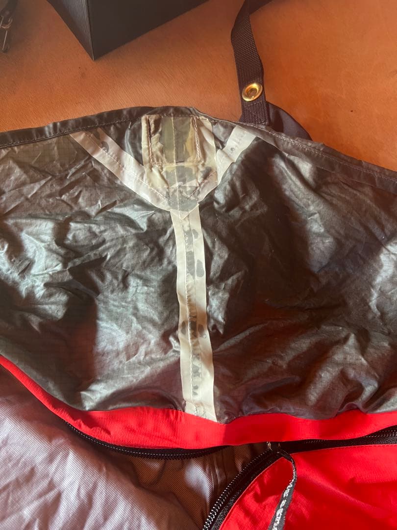 ビッグアグネス　スリーワイヤービビィ