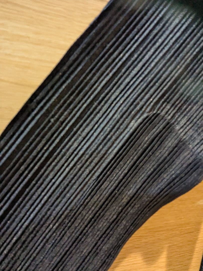 大きい L プリーツプリーズ イッセイミヤケ タートル カットソー 紺