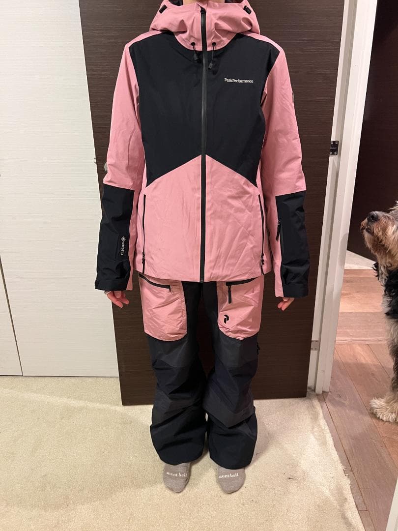 ピークパフォーマンス 女性用スキージャケットサイズM