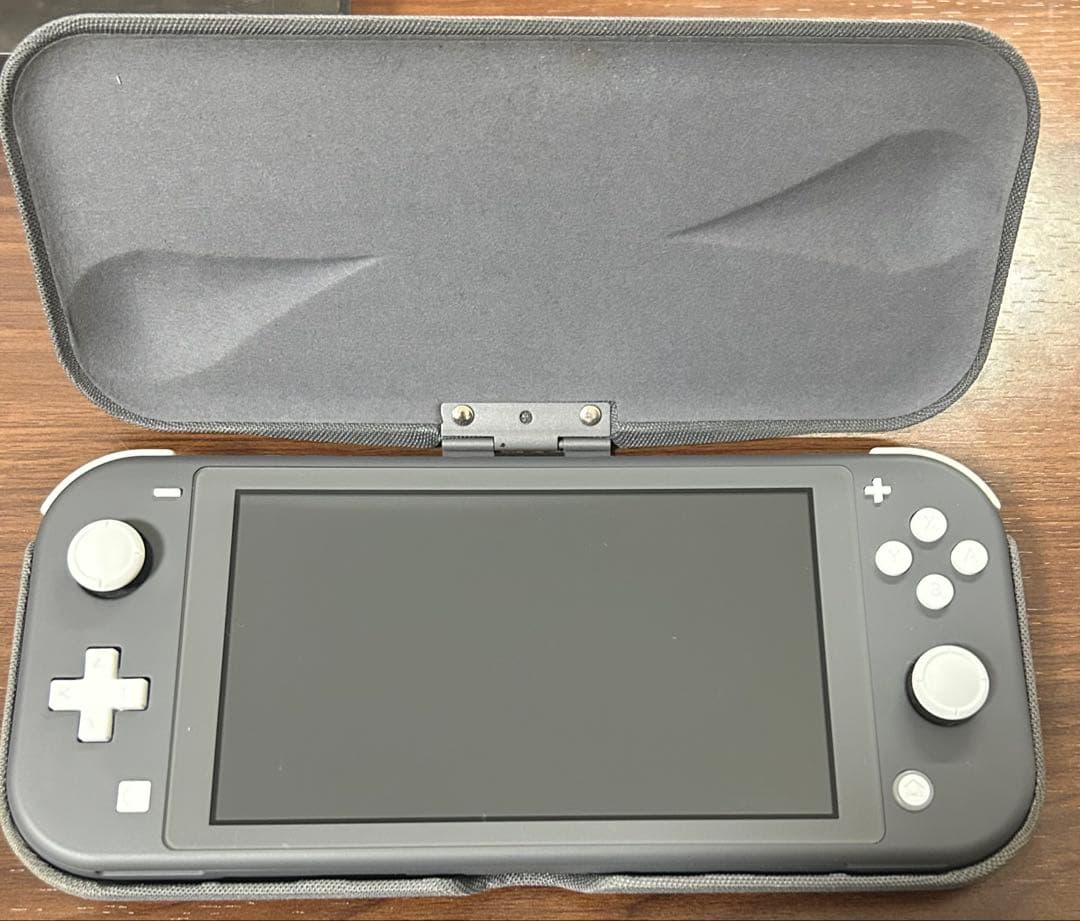 Nintendo Switch Lite グレー 本体 付属品付き