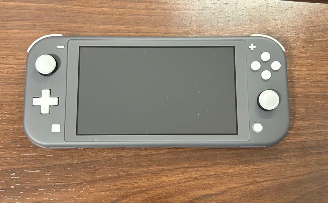 Nintendo Switch Lite グレー 本体 付属品付き