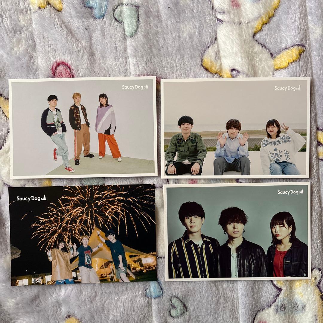 Saucy Dog アルバムセット 7枚組