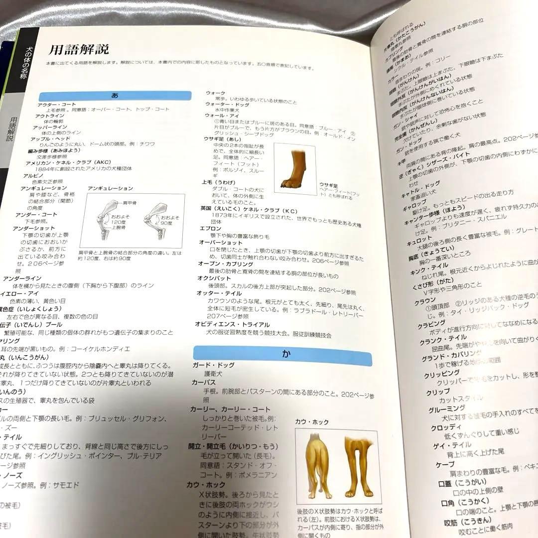 日本ケンネルカレッジペット資格最新犬種図鑑他トリマー資格本日本犬種クラブ