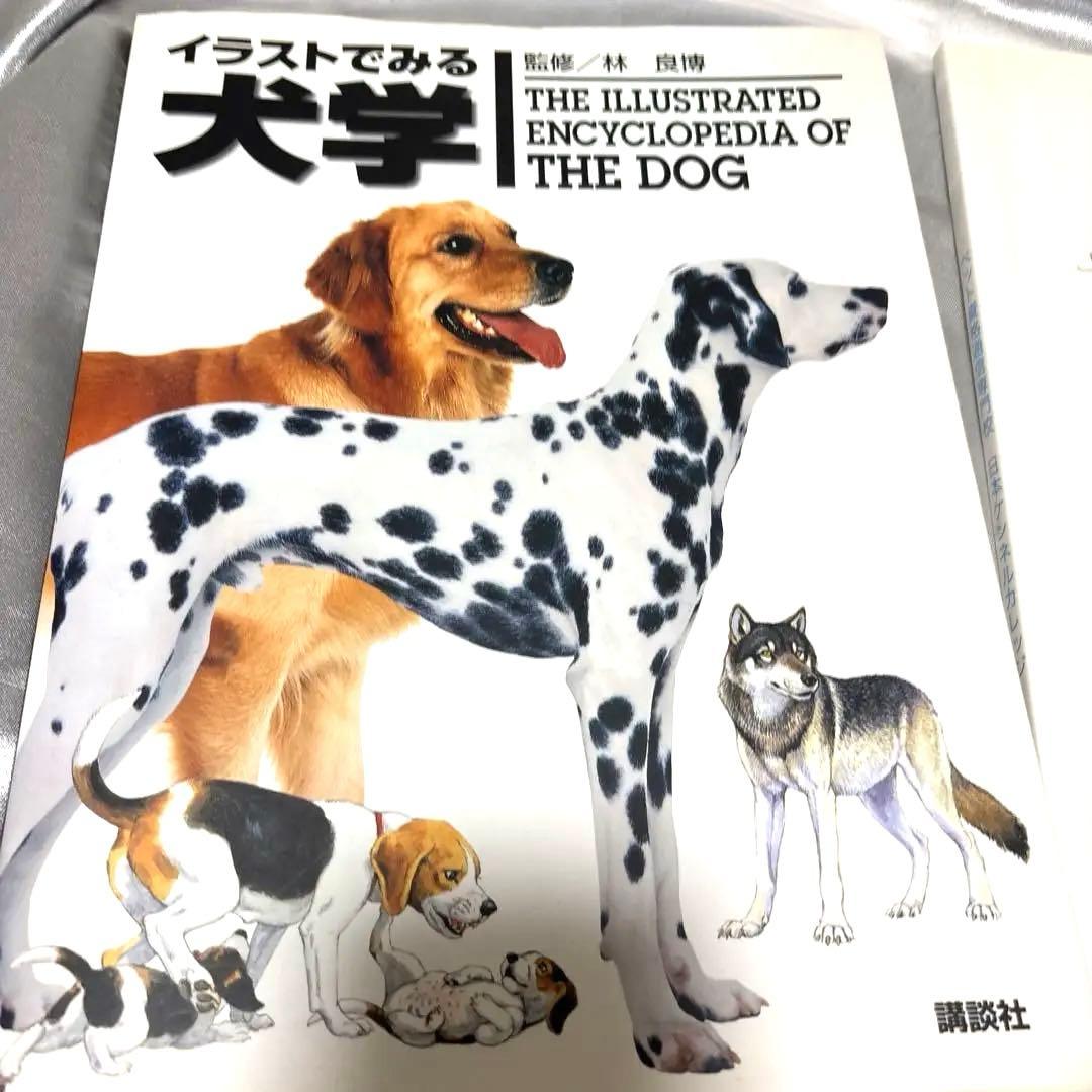 日本ケンネルカレッジペット資格最新犬種図鑑他トリマー資格本日本犬種クラブ