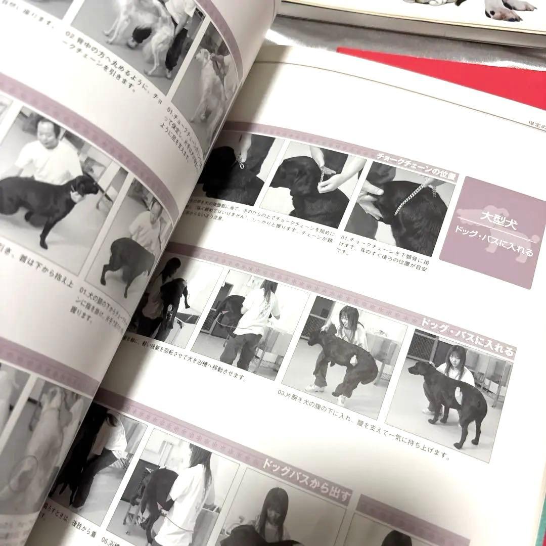 日本ケンネルカレッジペット資格最新犬種図鑑他トリマー資格本日本犬種クラブ