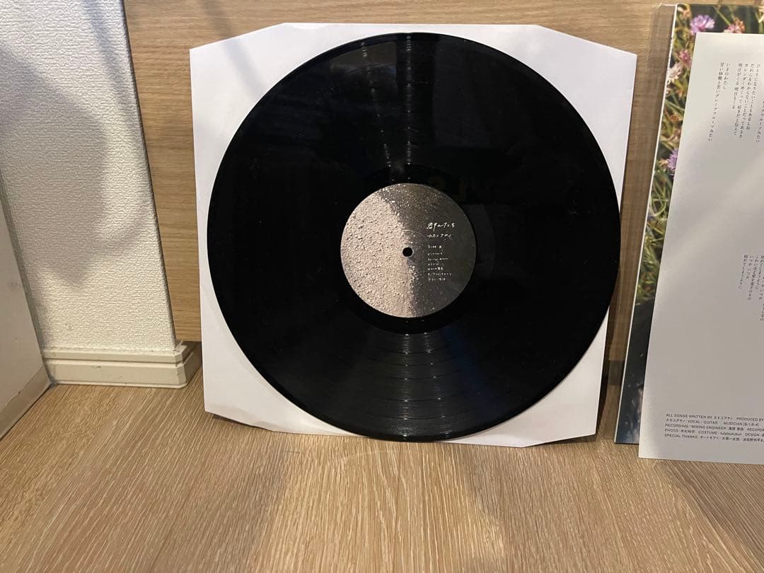 カネコアヤノ 群れたち レコード アナログ 美品 500枚 限定 レア