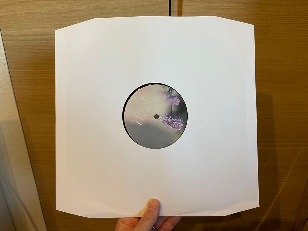 カネコアヤノ 群れたち レコード アナログ 美品 500枚 限定 レア