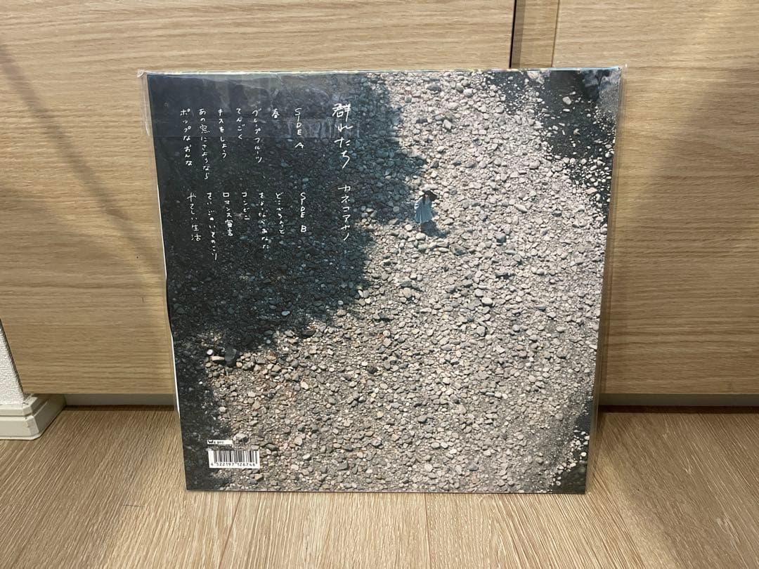 カネコアヤノ 群れたち レコード アナログ 美品 500枚 限定 レア