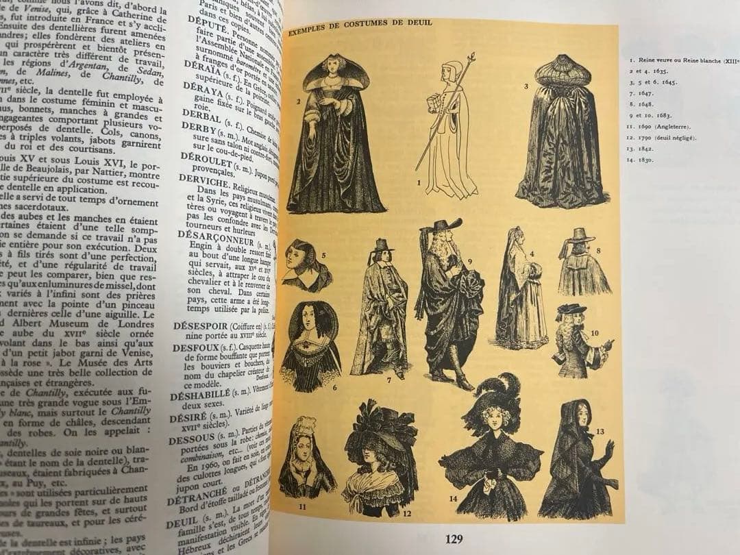 Dictionnaire du Costumeフランス語コスチューム辞典 希少？