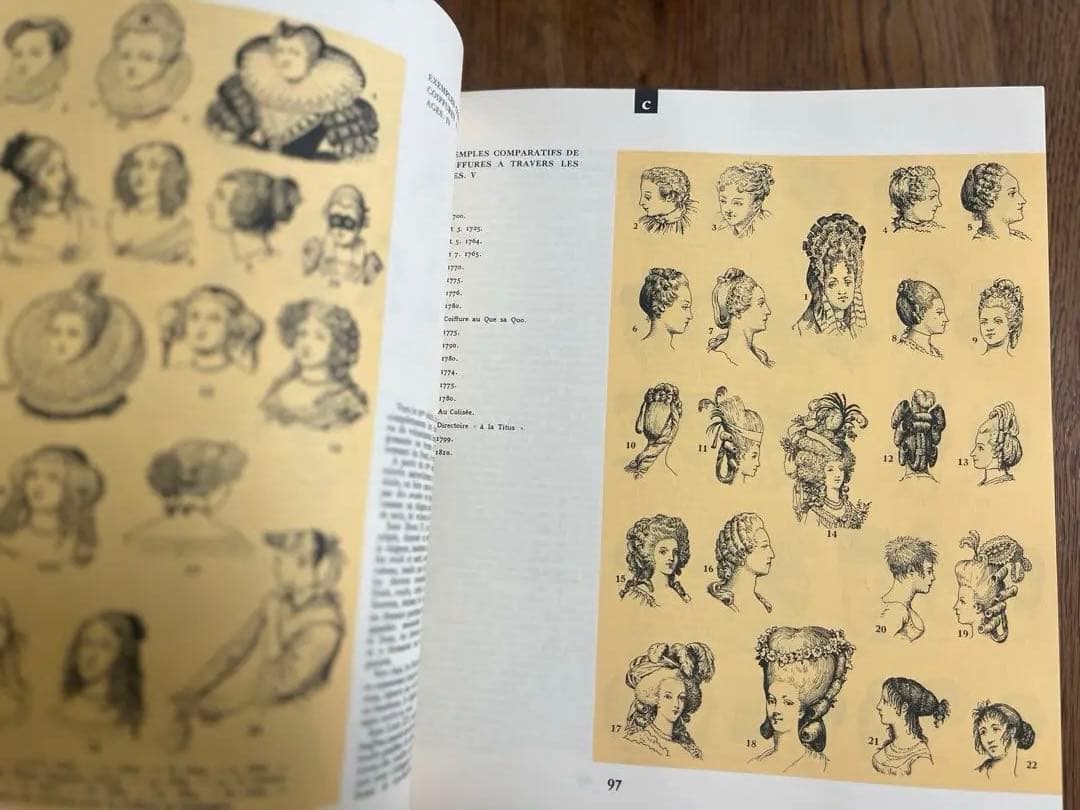 Dictionnaire du Costumeフランス語コスチューム辞典 希少？