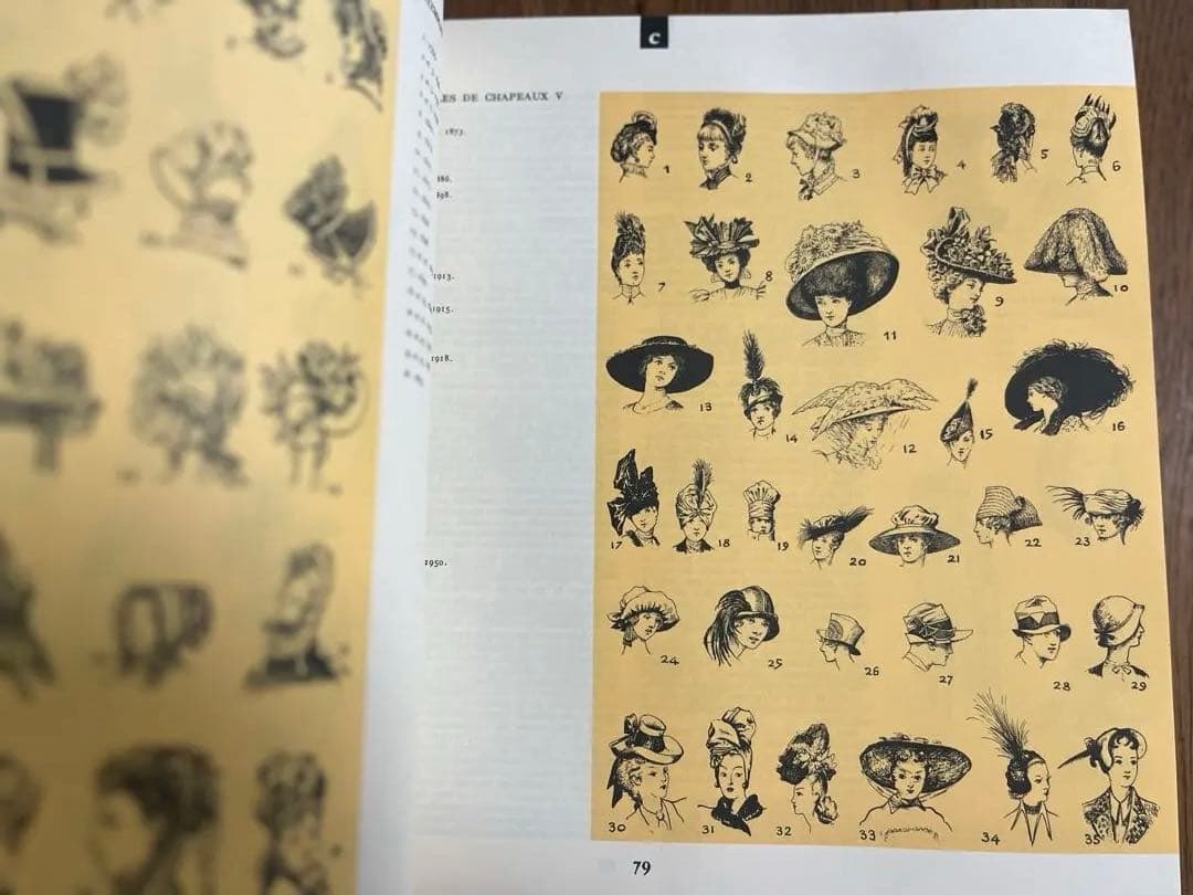 Dictionnaire du Costumeフランス語コスチューム辞典 希少？