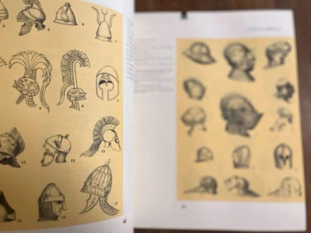 Dictionnaire du Costumeフランス語コスチューム辞典 希少？