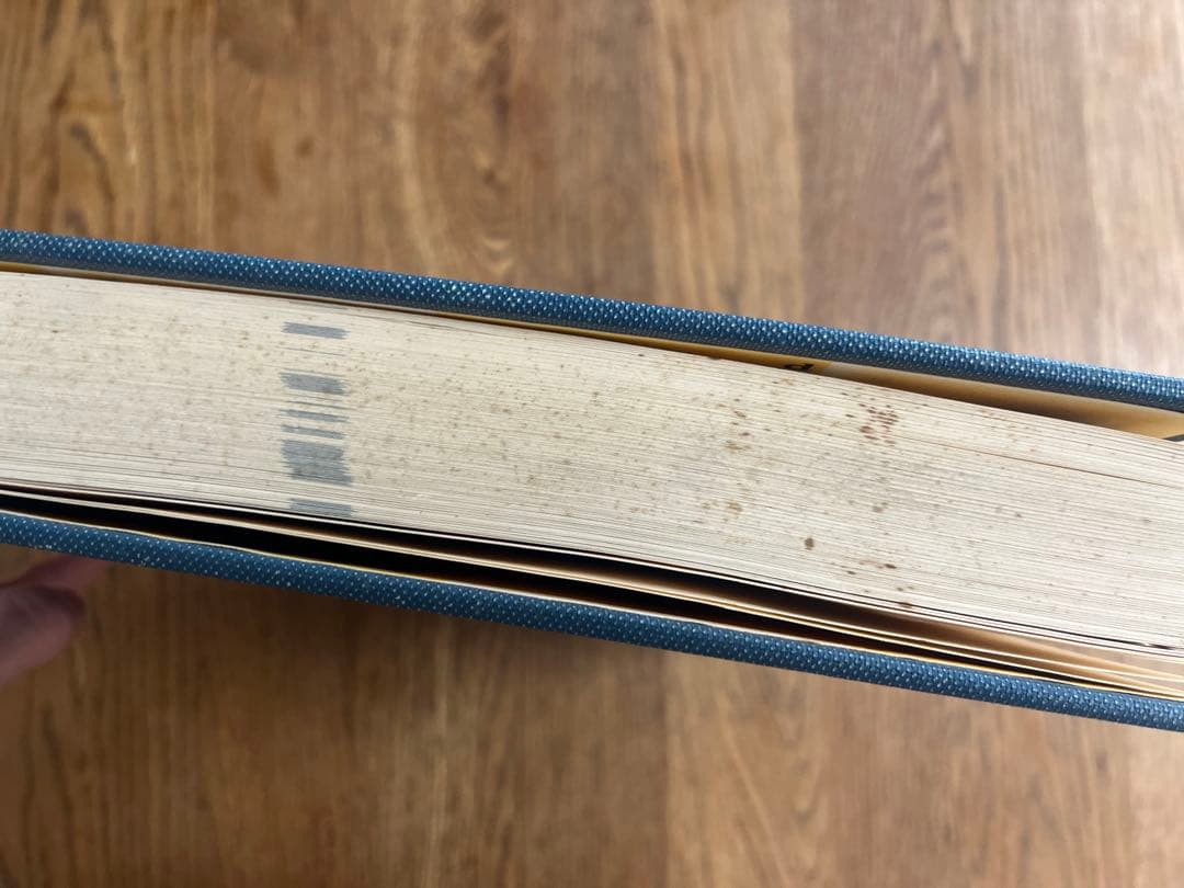 Dictionnaire du Costumeフランス語コスチューム辞典 希少？