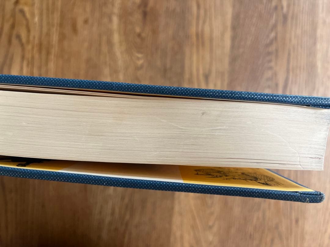 Dictionnaire du Costumeフランス語コスチューム辞典 希少？